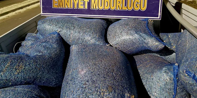 Çekirdek hırsızı ekiplerden kaçamadı