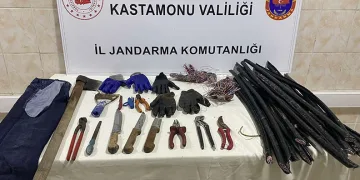 Cezaevinden çıkar çıkmaz hırsızlık yaptı