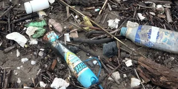 Karadeniz’e atılan çöpler, İnkumu sahiline vurdu