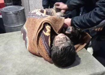 5 yaşındaki kayıp çocuk fosseptik çukurunda bulundu