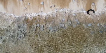 Akdeniz kıyılarını denizanaları bastı