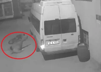 Bursa’da hırsız balkondaki montu çaldı