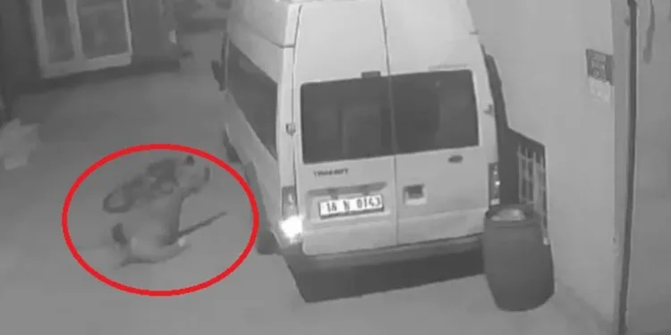 Bursa’da hırsız balkondaki montu çaldı