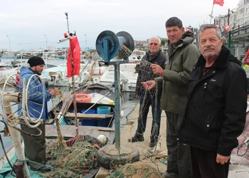 “Gemlik Körfezi büyük balıkçılara yasaklansın” talebi
