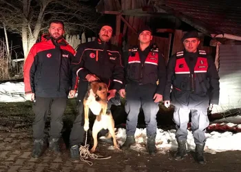 Kayalıkta mahsur kalan köpek kurtarıldı