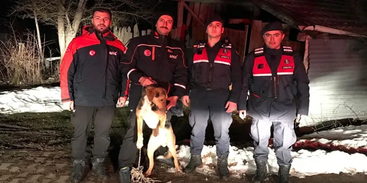 Kayalıkta mahsur kalan köpek kurtarıldı