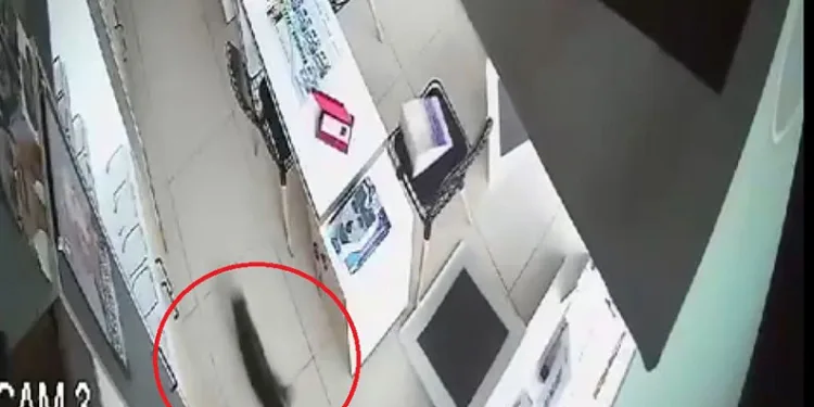 Bursa’da kırılan tavandan aşağı kedi düştü