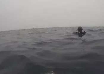 Dalgıçlar kayıp mürettebatı aramak için midye çiftliğine dalış yaptı