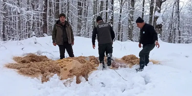 Bursa’da yaban hayvanları için doğaya yem bırakıldı