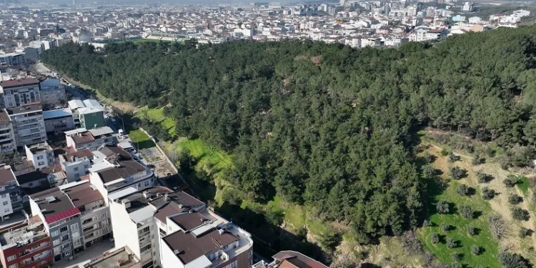 Yeşil yatırımlar Bursa’ya nefes aldırıyor