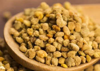 Uzmanlardan propolis önerisi