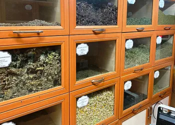 Bağışıklık sistemi için ‘baharat çayı’