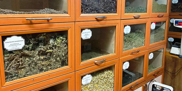 Bağışıklık sistemi için ‘baharat çayı’