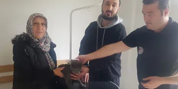 Kayıp kedi mikroçip sayesinde bulundu