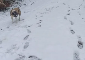 Hava sıcaklıkları düştü, yüksek kesimler beyaza büründü