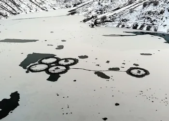 Göyne Sulama Barajı buzla kaplandı