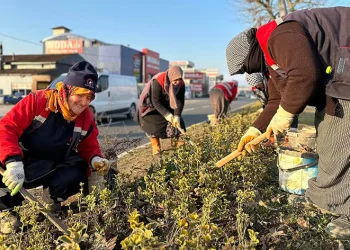 Düzce’yi kadınlar güzelleştiriyor