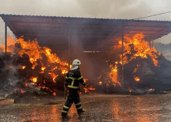 Çanakkale’de dama yıldırım düştü