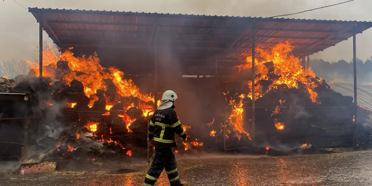 Çanakkale’de dama yıldırım düştü