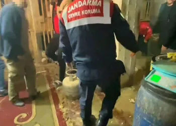 Horoz dövüştürücülerine jandarmadan suçüstü