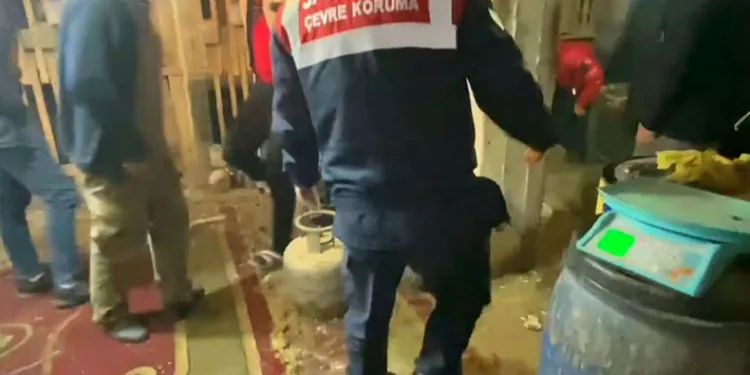 Horoz dövüştürücülerine jandarmadan suçüstü