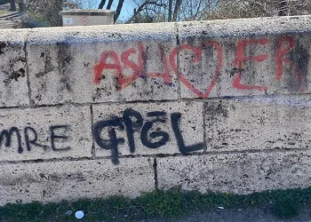 Talazan Köprüsü’nü Niksar Jandarma ve Belediye Ekipleri Temizledi
