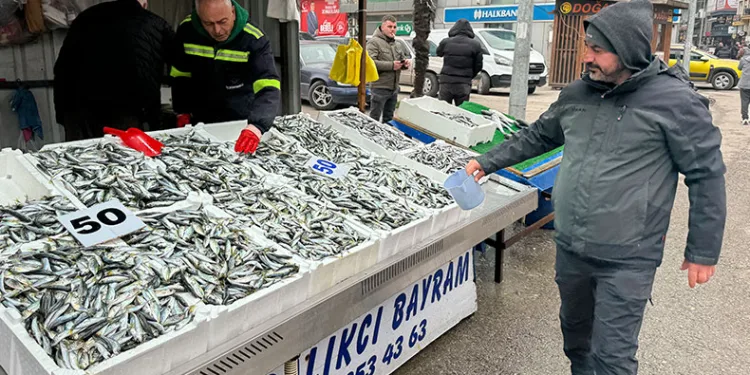 Fiyatı 50 liraya düşen istavrite yoğun ilgi