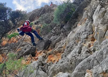 AKUT’tan Marmaris’te keçi operasyonu