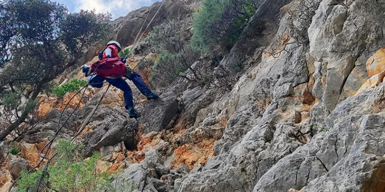 AKUT’tan Marmaris’te keçi operasyonu