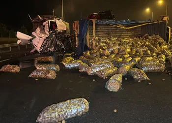 Patates yüklü kamyon devrildi