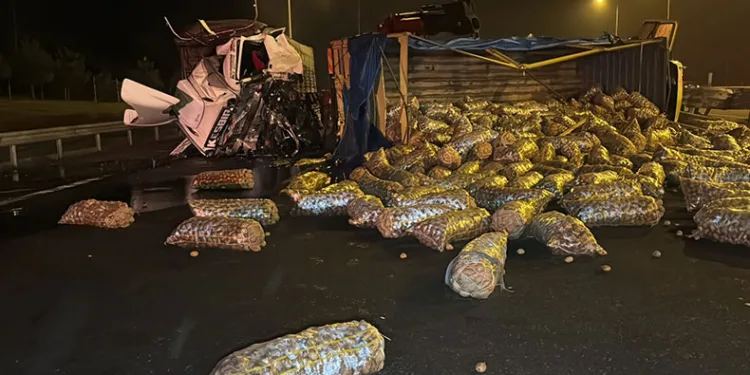 Patates yüklü kamyon devrildi