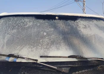 Iğdır’da soğuk hava etkili oluyor