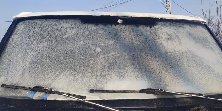Iğdır’da soğuk hava etkili oluyor