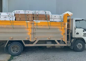 Depremde hayatını kaybedenler kırmızı karanfille anılacak