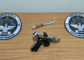 Van’da değişik suçlardan 20 kişi tutuklandı
