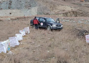 Tuz çalısı deneme sahası oluşturuldu