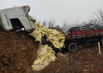 Bursa’da yem yüklü tır yoldan çıktı: 2 yaralı