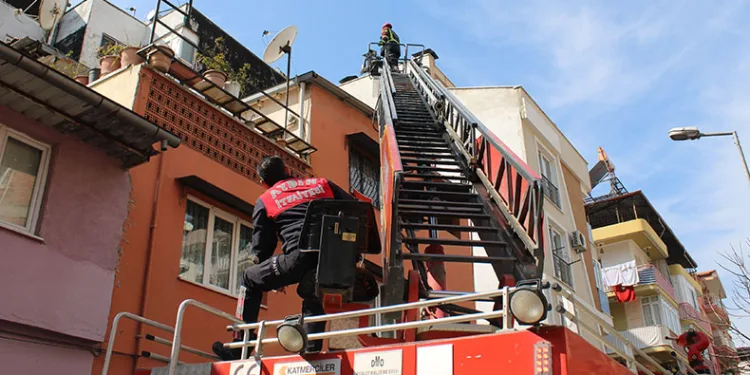 Çatıdaki kedi dördüncü ihbarda da bulunamadı