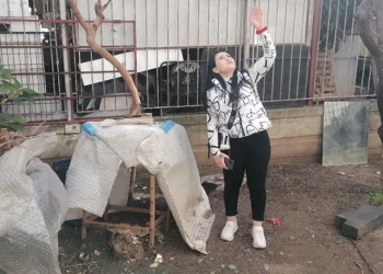 Ekipleri kapıda görünce balkondan aşağı atladı