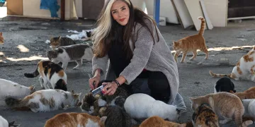 Enkaz kentin hayvanlarına umut oldu