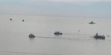 Balıkçılar Kozlu açıklarına akın etti