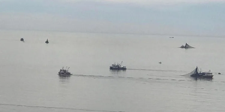 Balıkçılar Kozlu açıklarına akın etti