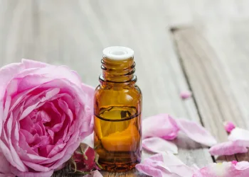Gül yağı bakterilerle savaşacak