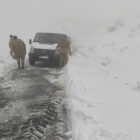 Sultan Dağı’nda kara saplanan minibüs ekiplerin yardımıyla kurtarıldı