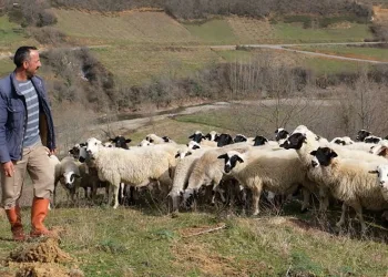 Sevgililer Günü’nün en anlamlı hediyesi