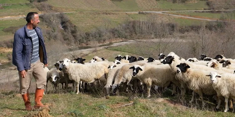Sevgililer Günü’nün en anlamlı hediyesi