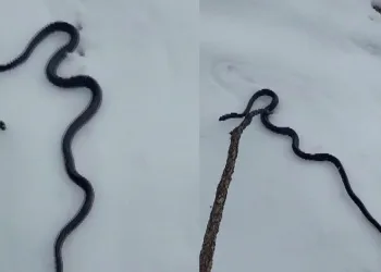 Tunceli’yi tedirgin eden görüntü