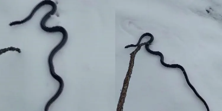Tunceli’yi tedirgin eden görüntü