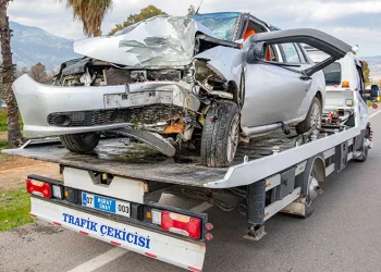 Yoldan çıkan otomobil palmiye ağacına çarptı