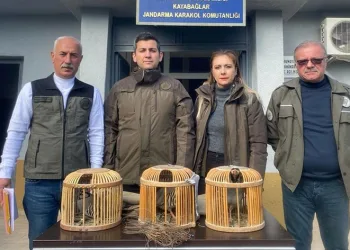 Kaçak avcılık yapan 1 kişiye para cezası kesildi